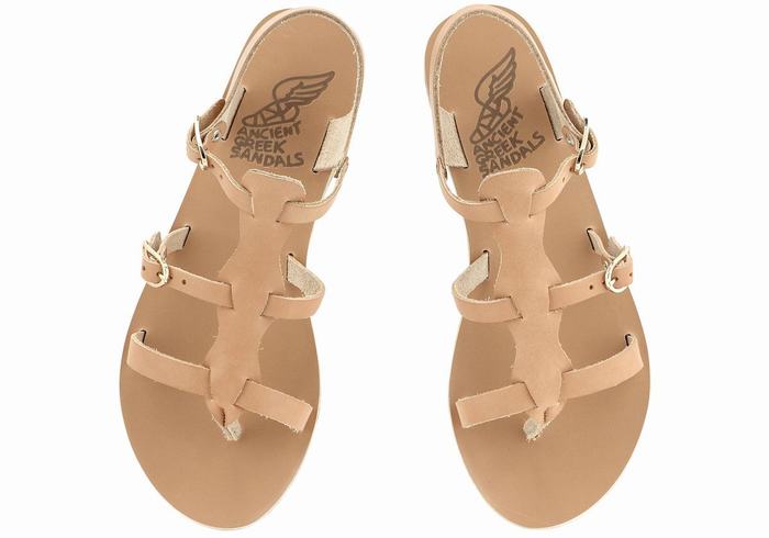 Sandales Casual Ancient Greek Sandals Grace Kelly Leather   | QDF-9975527